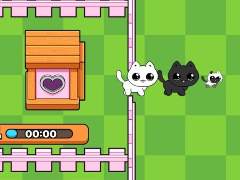 Spel Mijn poesjes. Kattenworld online