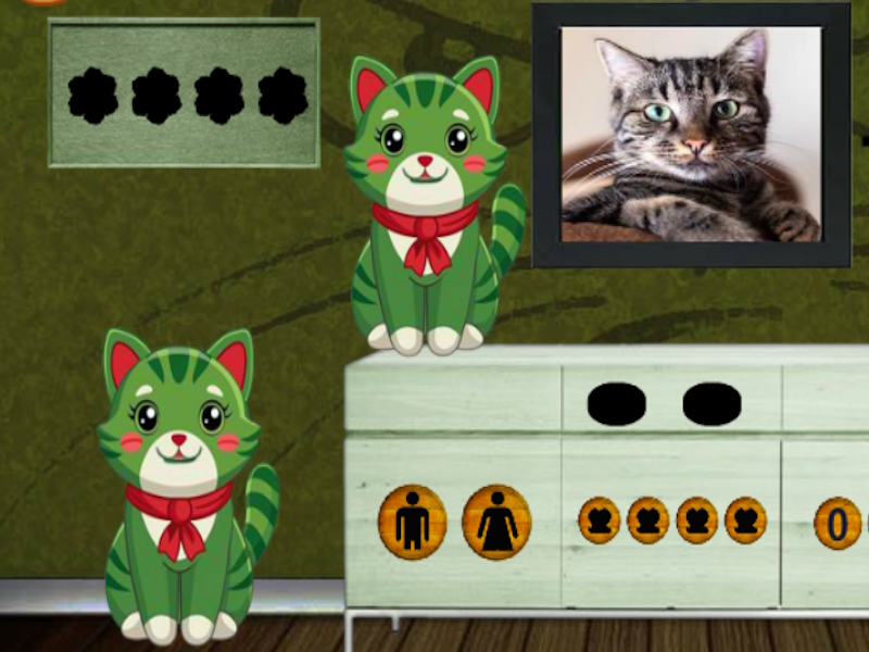 Spel Vind de nieuwsgierige freaky kat online