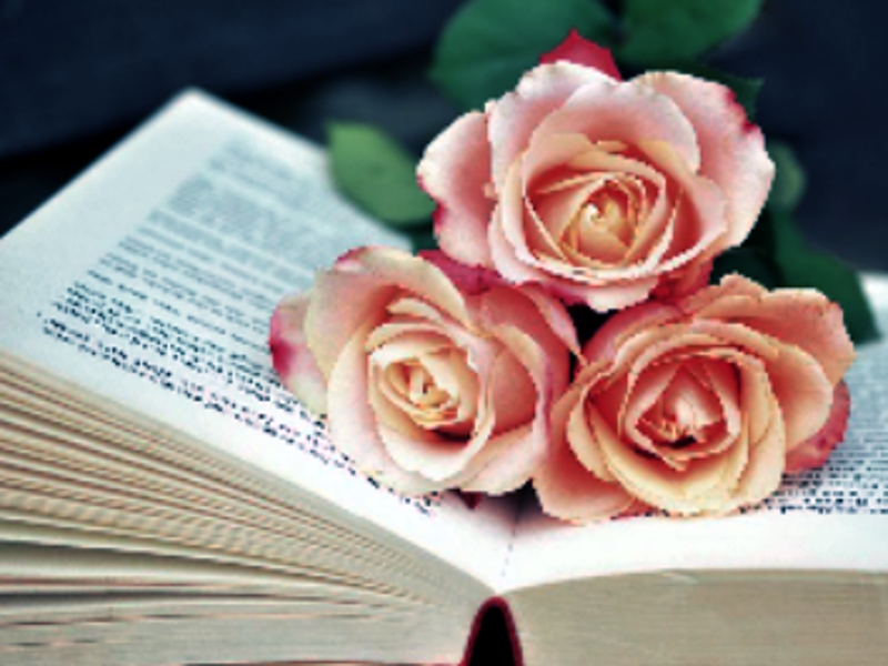Spel Book of Blooms Jigsaw online